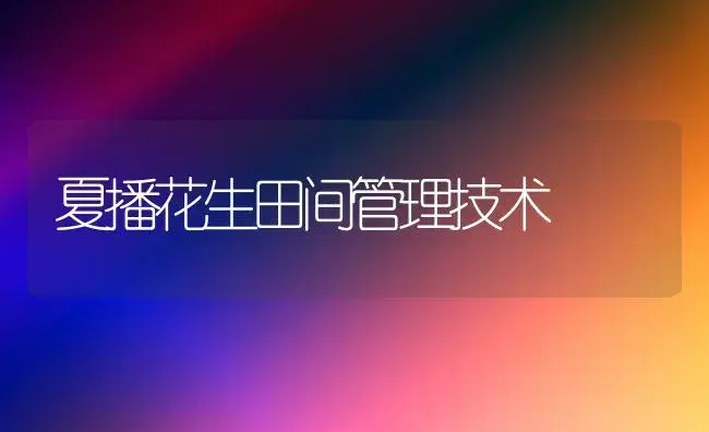 夏播花生田间管理技术 | 植物科普