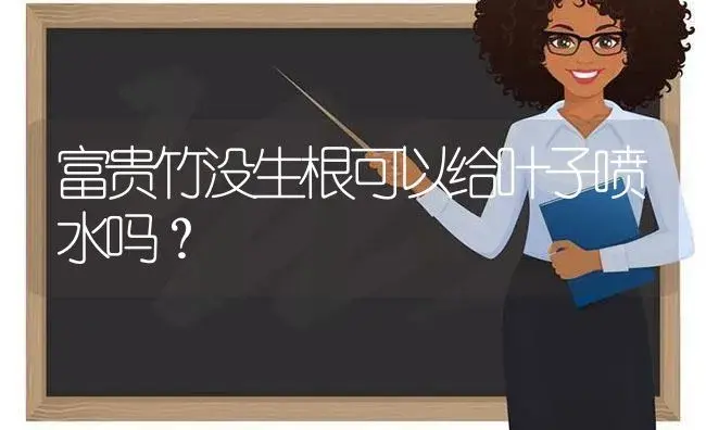 富贵竹没生根可以给叶子喷水吗？ | 植物问答