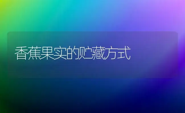 香蕉果实的贮藏方式 | 植物科普