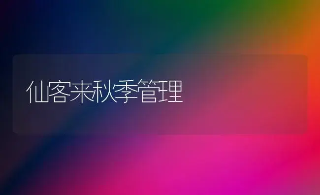 仙客来秋季管理 | 植物知识