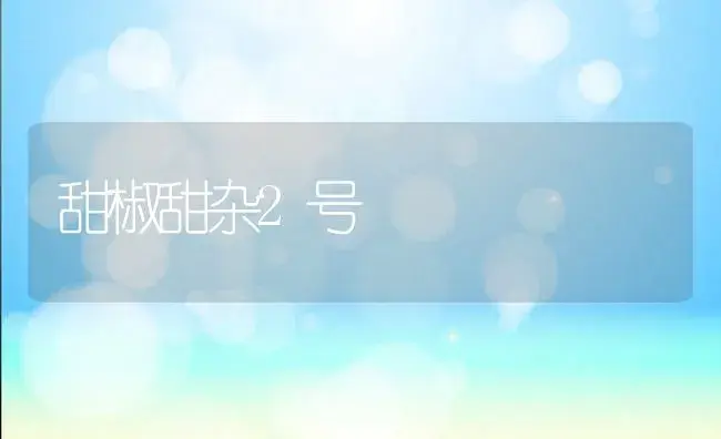 甜椒甜杂2号 | 植物科普