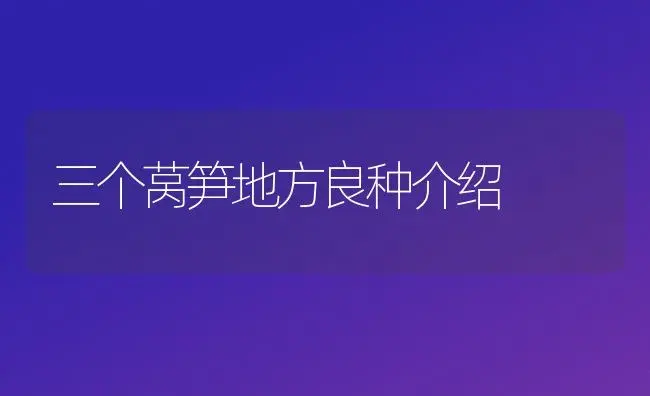 三个莴笋地方良种介绍 | 植物科普