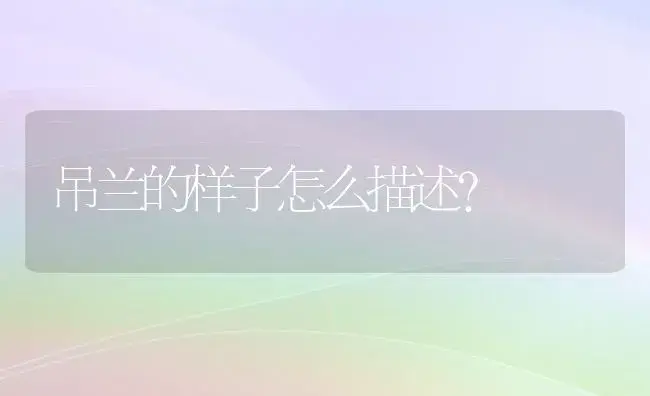 吊兰的样子怎么描述？ | 植物问答