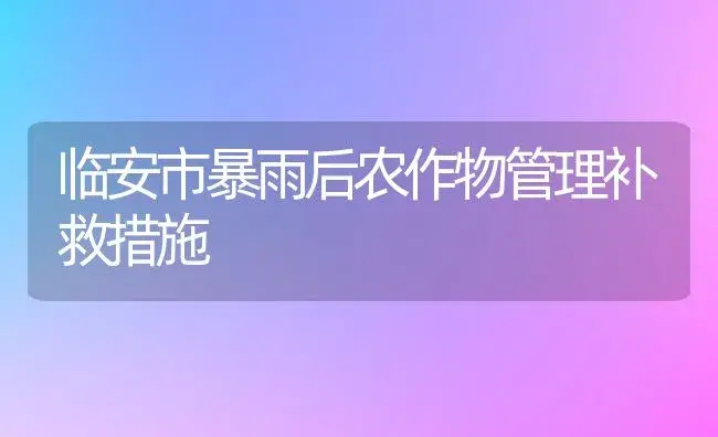 临安市暴雨后农作物管理补救措施 | 植物科普