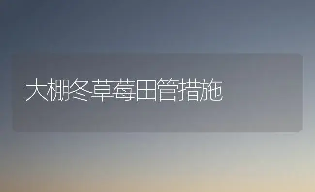 大棚冬草莓田管措施 | 植物科普