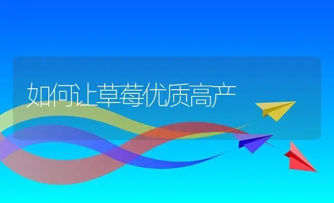 如何让草莓优质高产 | 植物资料