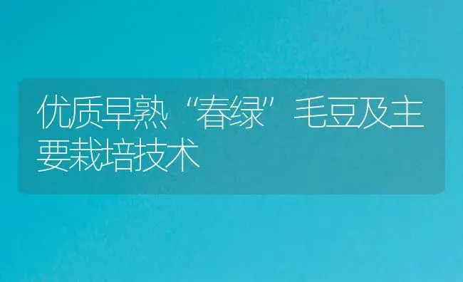 优质早熟“春绿”毛豆及主要栽培技术 | 植物百科