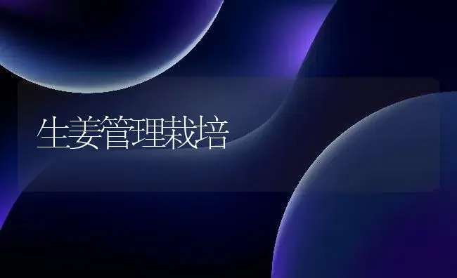 生姜管理栽培 | 植物百科