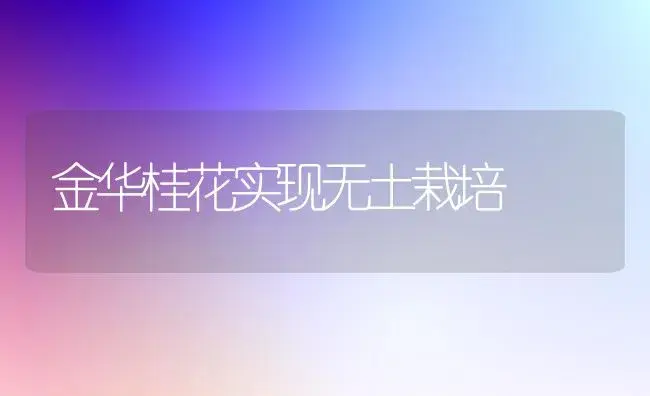 金华桂花实现无土栽培 | 植物科普