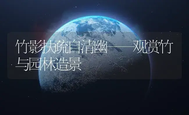 竹影扶疏自清幽——观赏竹与园林造景 | 植物知识