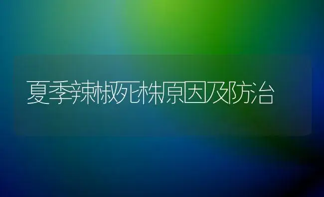 夏季辣椒死株原因及防治 | 植物百科