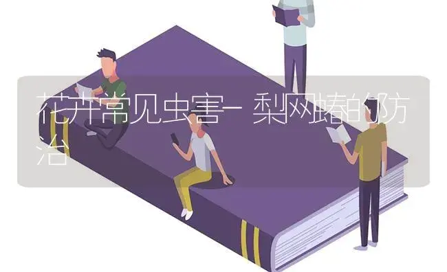 花卉常见虫害-梨网蝽的防治 | 植物知识