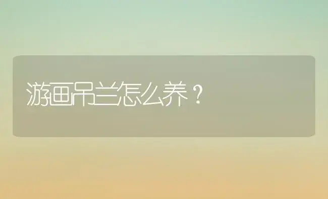 游画吊兰怎么养？ | 植物问答