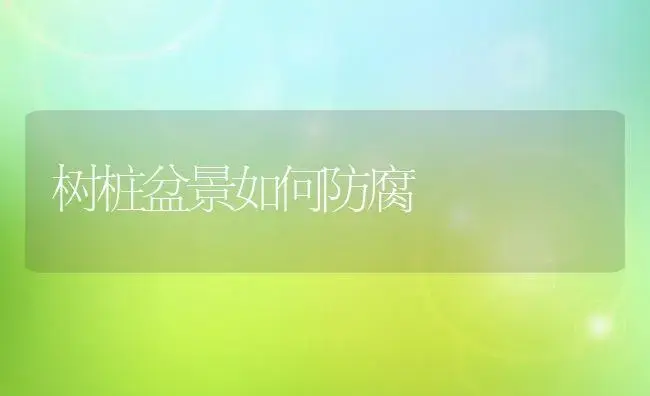 树桩盆景如何防腐 | 植物科普