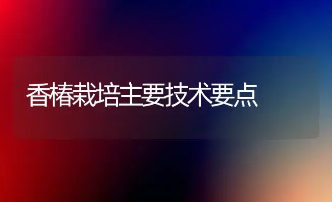 盆栽月季的养护管理（下） | 植物科普