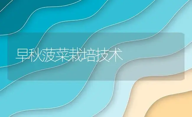 早秋菠菜栽培技术 | 植物资料