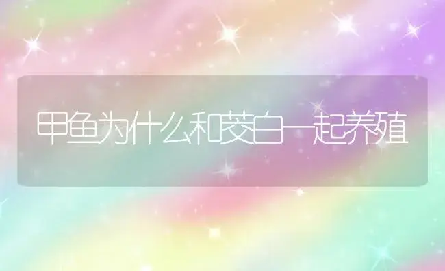 甲鱼为什么和茭白一起养殖 | 植物知识