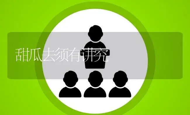 甜瓜去须有讲究 | 植物百科