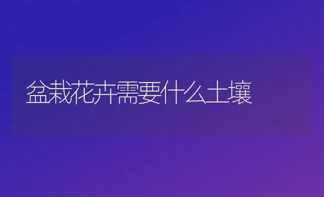 盆栽花卉需要什么土壤 | 植物科普