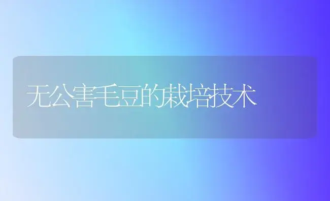 无公害毛豆的栽培技术 | 植物科普