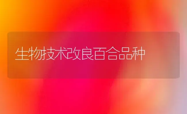 生物技术改良百合品种 | 植物知识