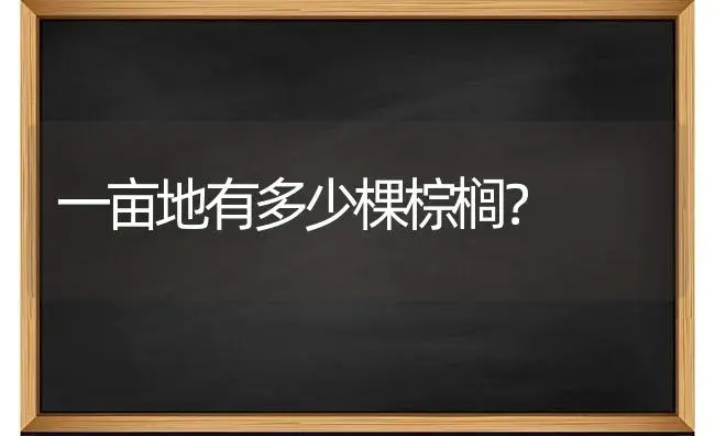 一亩地有多少棵棕榈？ | 植物问答