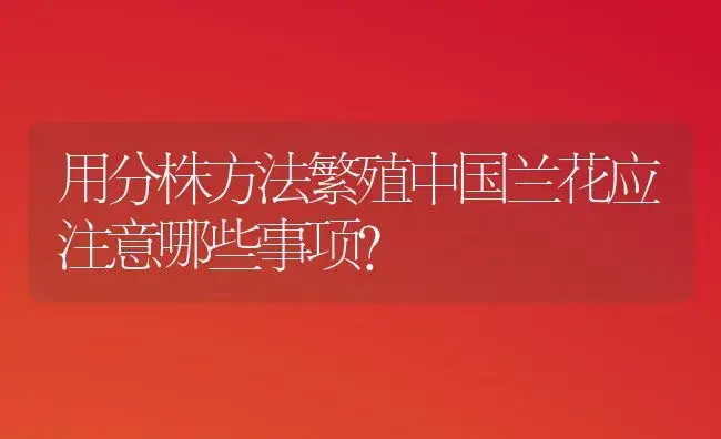 用分株方法繁殖中国兰花应注意哪些事项? | 植物科普