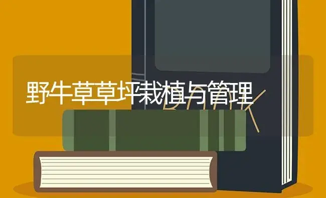 野牛草草坪栽植与管理 | 植物知识