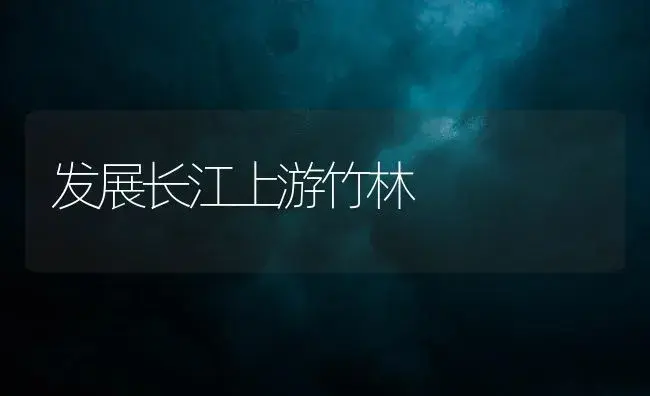 紫薇栽培繁殖方法 | 植物知识