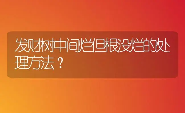 发财树中间烂但根没烂的处理方法？ | 植物问答