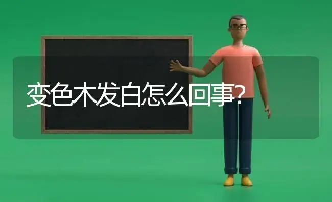 变色木发白怎么回事？ | 植物问答