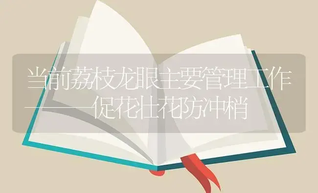 当前荔枝龙眼主要管理工作———促花壮花防冲梢 | 植物百科
