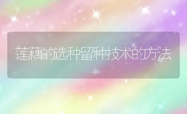 莲藕的选种留种技术的方法 | 植物科普