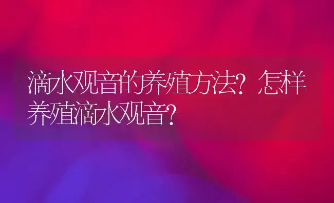 滴水观音的养殖方法?怎样养殖滴水观音? | 植物科普