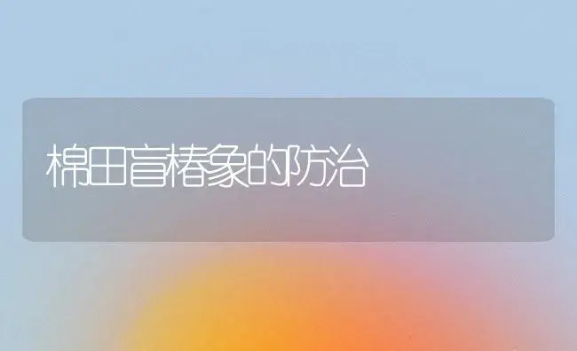 棉田盲椿象的防治 | 植物科普