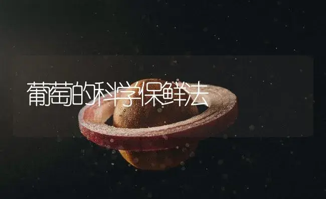 葡萄的科学保鲜法 | 植物百科