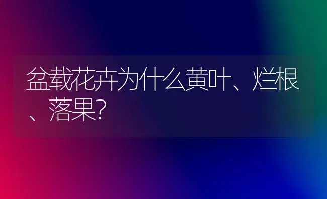 盆载花卉为什么黄叶、烂根、落果？ | 植物科普