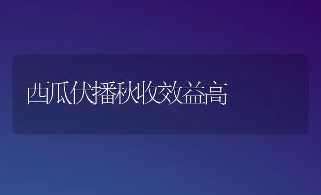 西瓜伏播秋收效益高 | 植物百科