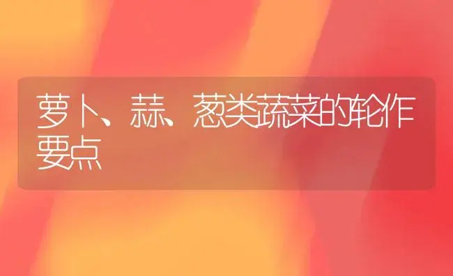 萝卜、蒜、葱类蔬菜的轮作要点 | 植物科普