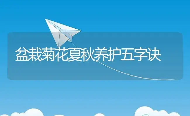 盆栽菊花夏秋养护五字诀 | 植物资料