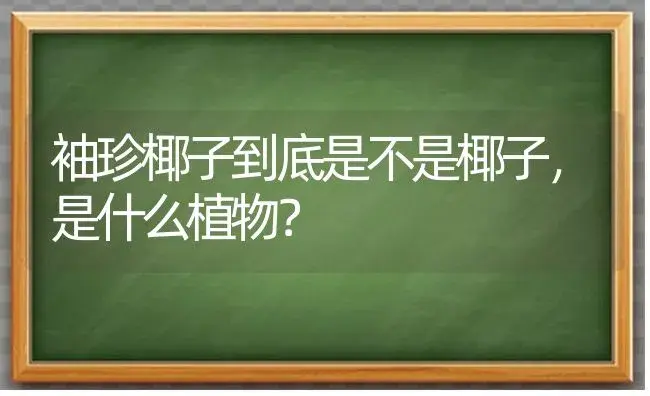 袖珍椰子到底是不是椰子，是什么植物？ | 植物问答