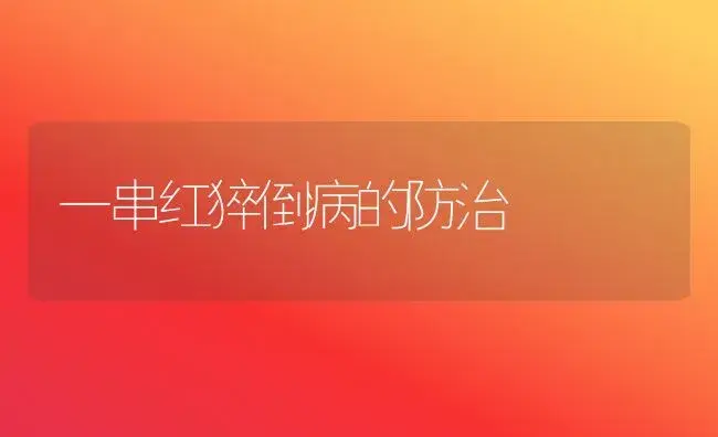 唐菖蒲种植技术及管理 | 植物知识