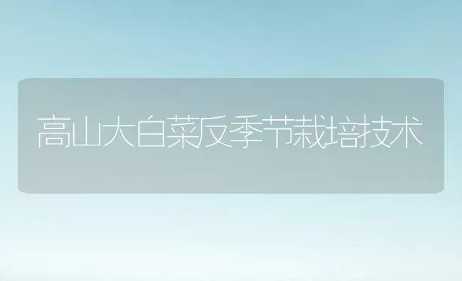 高山大白菜反季节栽培技术 | 植物科普