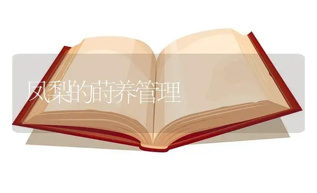 凤梨的莳养管理（图） | 植物知识
