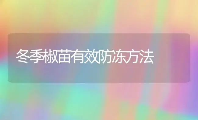 冬季椒苗有效防冻方法 | 植物百科