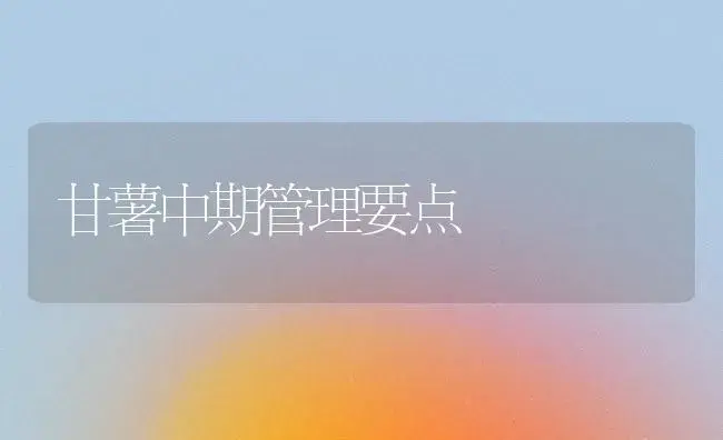 甘薯中期管理要点 | 植物科普