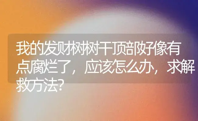 我的发财树树干顶部好像有点腐烂了，应该怎么办，求解救方法？ | 植物问答