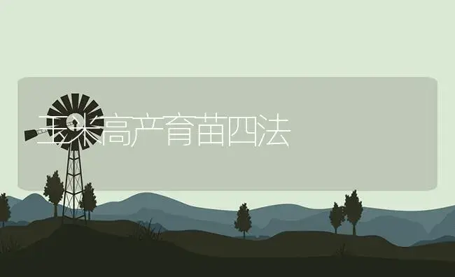 玉米高产育苗四法 | 植物资料