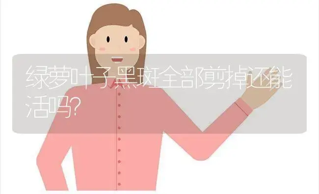 婚礼油画吊兰可以种室外吗？ | 植物问答