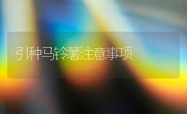 引种马铃薯注意事项 | 植物科普